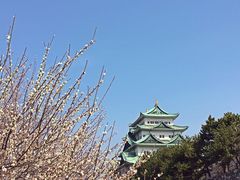 -名古屋城