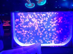 -沈阳海洋探索中心