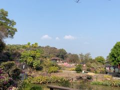 -广州莲花山旅游区