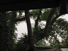 -星巴克(福州三坊七巷店)