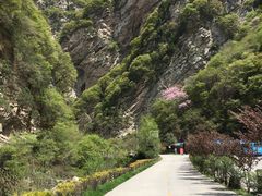 -少华山国家森林公园