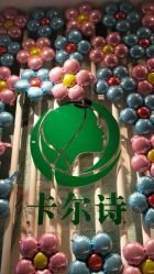 -卡尔诗·科技美肤连锁