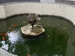 -比利时钻石文化交流中心(岳阳路店)