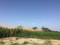 -千龙湖生态旅游度假区