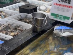 -亚马逊海鲜自助(梅溪湖步步高店)