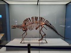 -湖南省地质博物馆