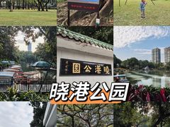 -晓港公园