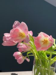 -医颜医疗美容门诊部