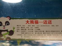 -栾川竹海野生动物园