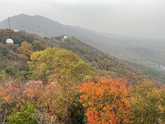 -紫金山天文台