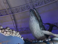 -烟台海昌鲸鲨海洋公园