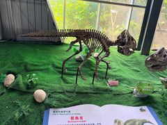 -诸城市恐龙博物馆