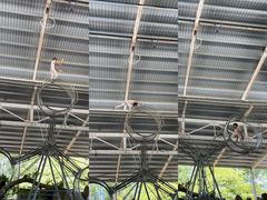 -泉州海丝野生动物世界