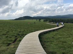 -芦芽山旅游度假区
