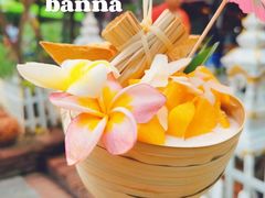 -西双版纳傣族园