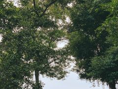 -深圳野生动物园