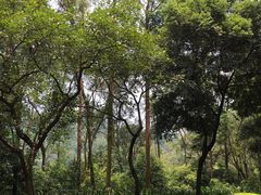 -南国桃园旅游度假区