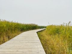 -野鸭湖国家湿地公园