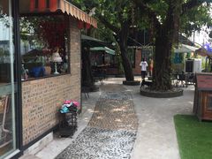 -柴犬高等学院·狗咖·柴犬售卖·宠物训练