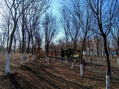 -西青郊野公园