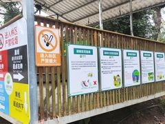 -芦仙山景区-飞越丛林探险乐园