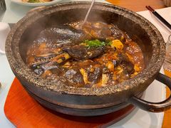 石锅碟鱼头-新海渔港·胶东海鲜家常菜·家宴(奥体中心店)
