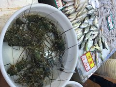 -御唐府海珊瑚主题餐厅