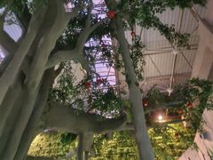 -兴芮温泉度假区