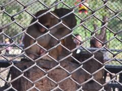 -长白岛森林公园