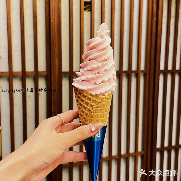 赤道小鲸鱼|朝鲜美食·美女·美景平壤民达来餐厅