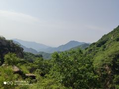-大岭沟猕猴桃谷风景区
