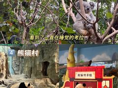 -广州长隆野生动物世界