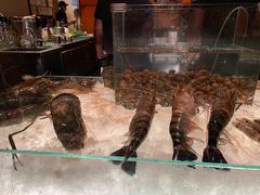 -Ministry of Crab(科伦坡店)