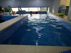 -子木乐园婴儿游泳馆(水晶港店)