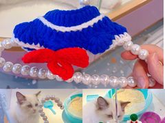 -龟与熊猫宠物公园(南坪店)