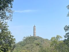 -巢湖姥山岛