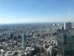-东京都厅舍