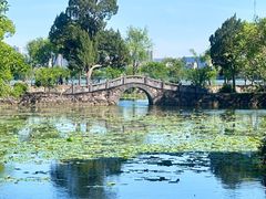 -无锡蠡湖国家湿地公园-蠡园