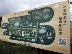 -小蜜蜂农场(凯德七宝购物广场店)