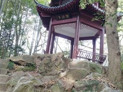 景点-杭州黄龙洞