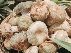 -滇铺子·云南特色菜·鲜花野菜季(东风东路c86店)