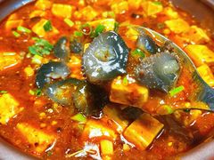 麻辣豆腐烧海参-五谷丰登农家院·地道胶东菜·海鲜烧烤(威海店)