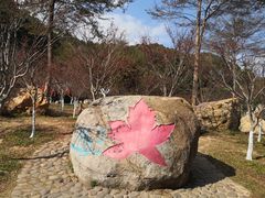 -广州市帽峰山景区