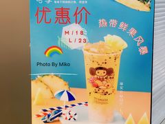 -TPLUS茶家(浦电路店)
