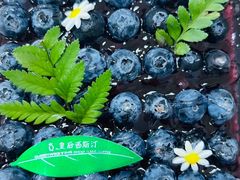 -皇后西斯汀(千姿汇店)