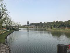 -上海鲜花港