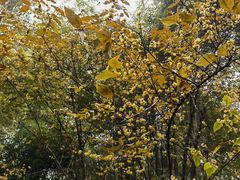 -成都杜甫草堂博物馆