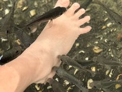 -融汇温泉