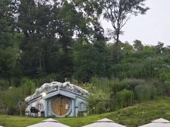 -大塘金香草谷