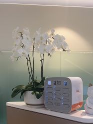 点击看大图 -贝黎诗SPA